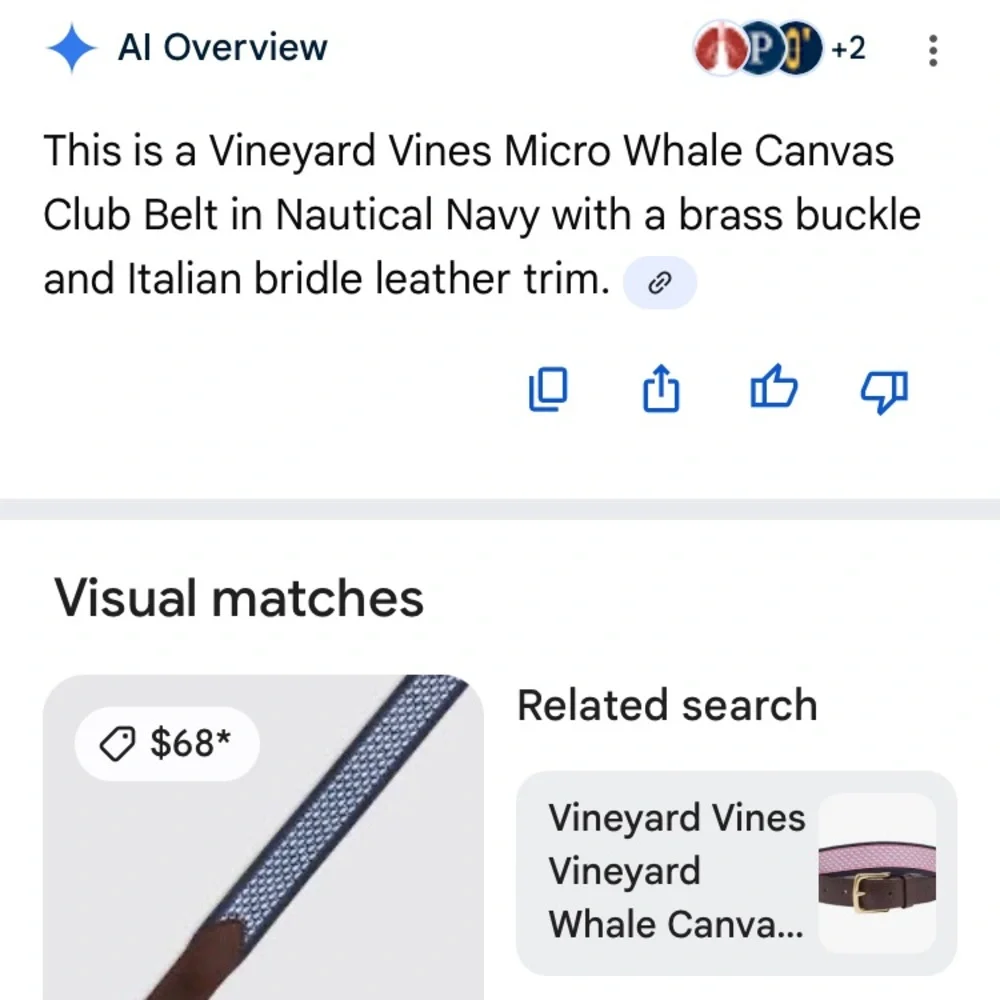 Vineyard Vines Micro whale canvas club belt in nautical blue